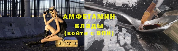 прущие грибы Армянск