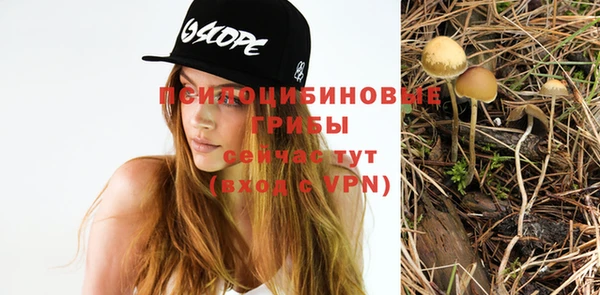 круглые Арсеньев