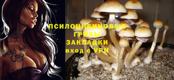 круглые Арсеньев