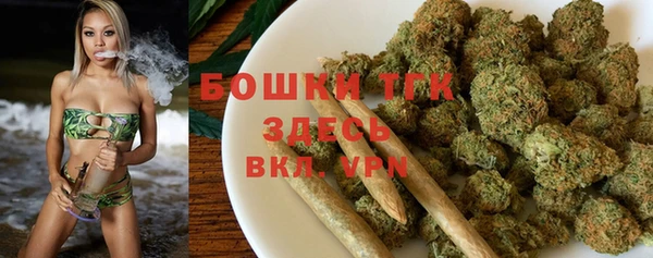 прущие грибы Армянск