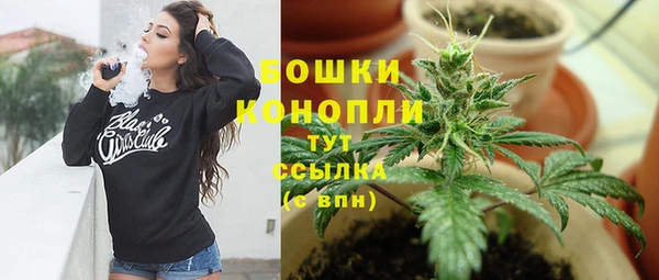 прущие грибы Армянск